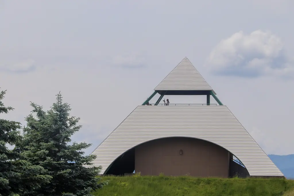 日本九州大冒險：來趟台式花漾之旅