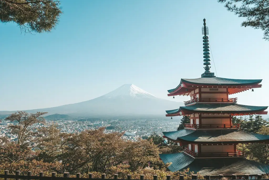 福岡觀光指南：探索九州之門！