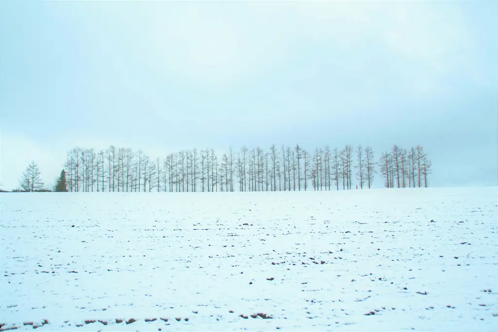 Fukuoka觀光景點攻略：5