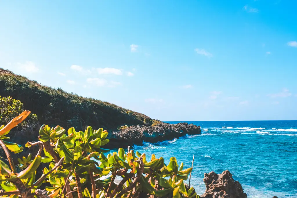 遊玩日本九州門戶！福岡旅遊攻略，暢遊吃喝玩樂不踩雷