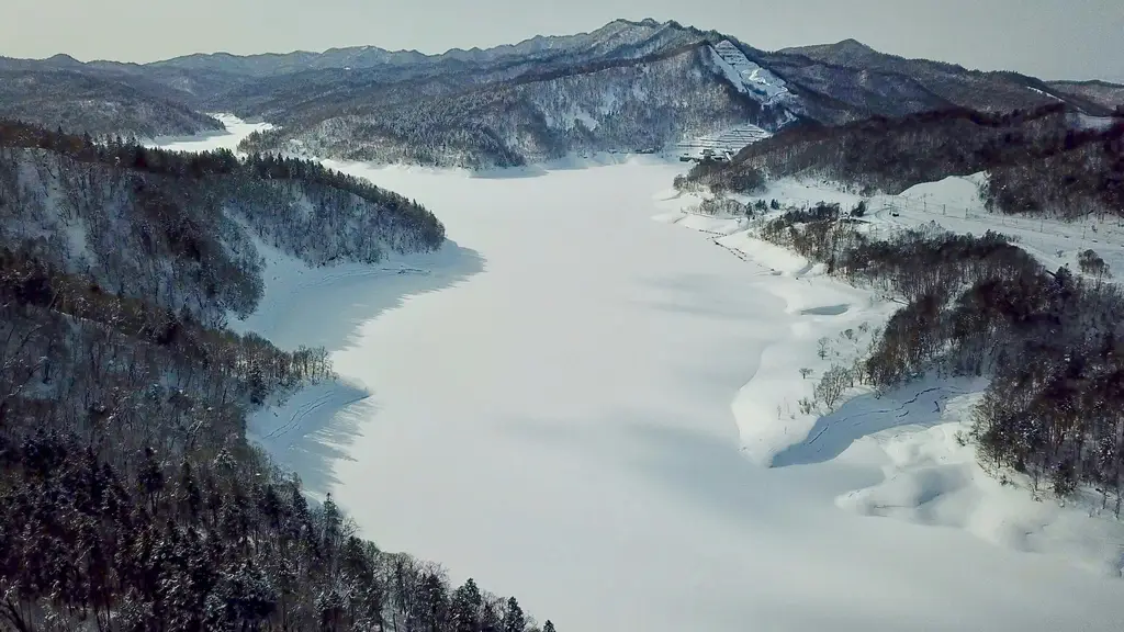 福岡賞雪：讓你見識日本九州最夢幻的冬日奇景