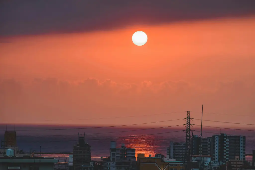 九州征服記:尋覓九州七寶的冒險之旅