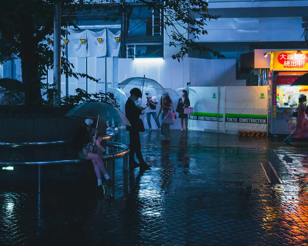 九州漫步：打造您的理想日本之旅