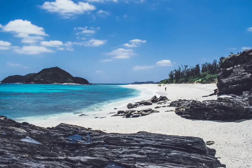 佐賀漫遊：探索日本九州秘境，發掘歷史與自然的瑰寶