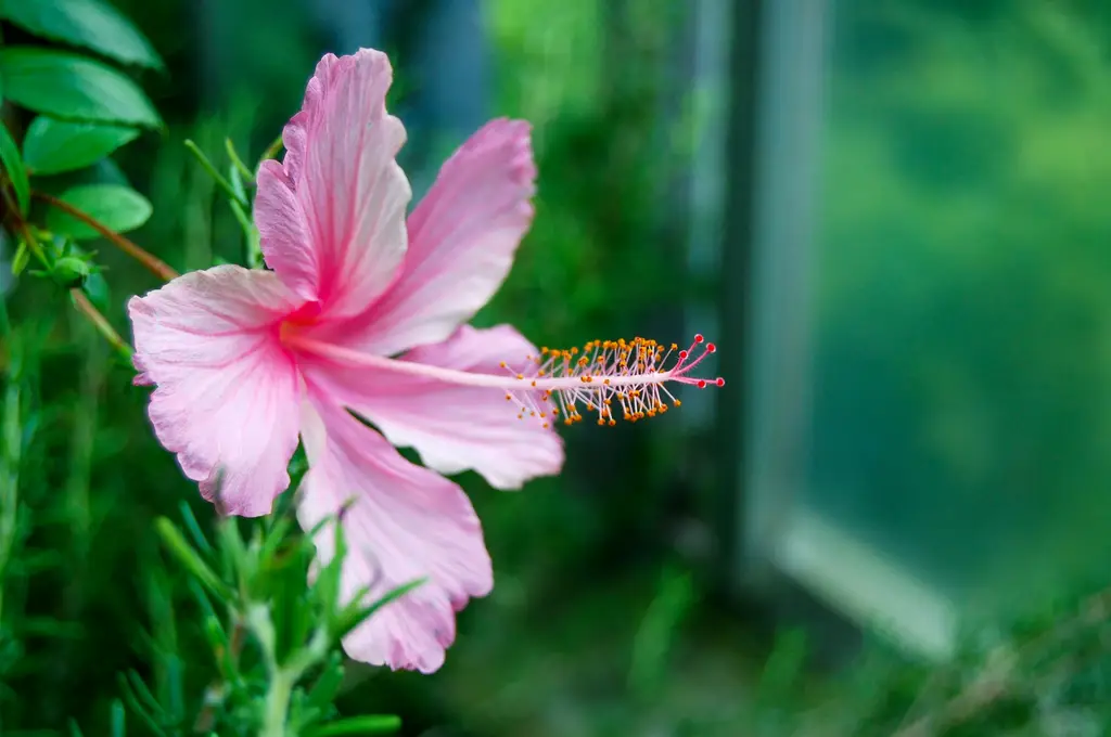 佐賀，親子同遊的夢幻天堂