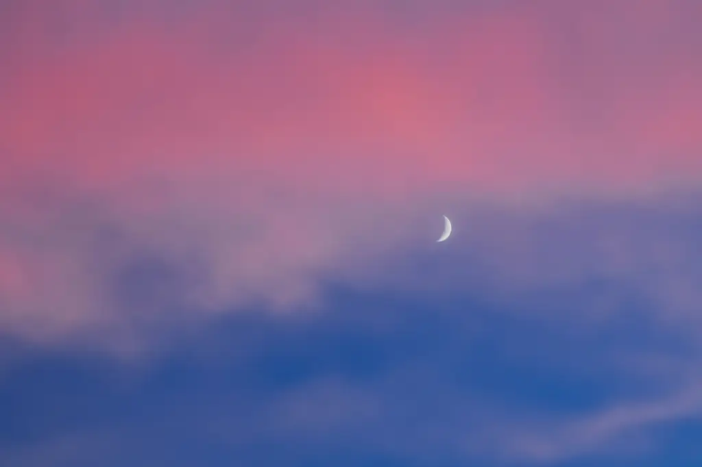 別府空中纜車之旅：體驗溫泉之都絕美風景