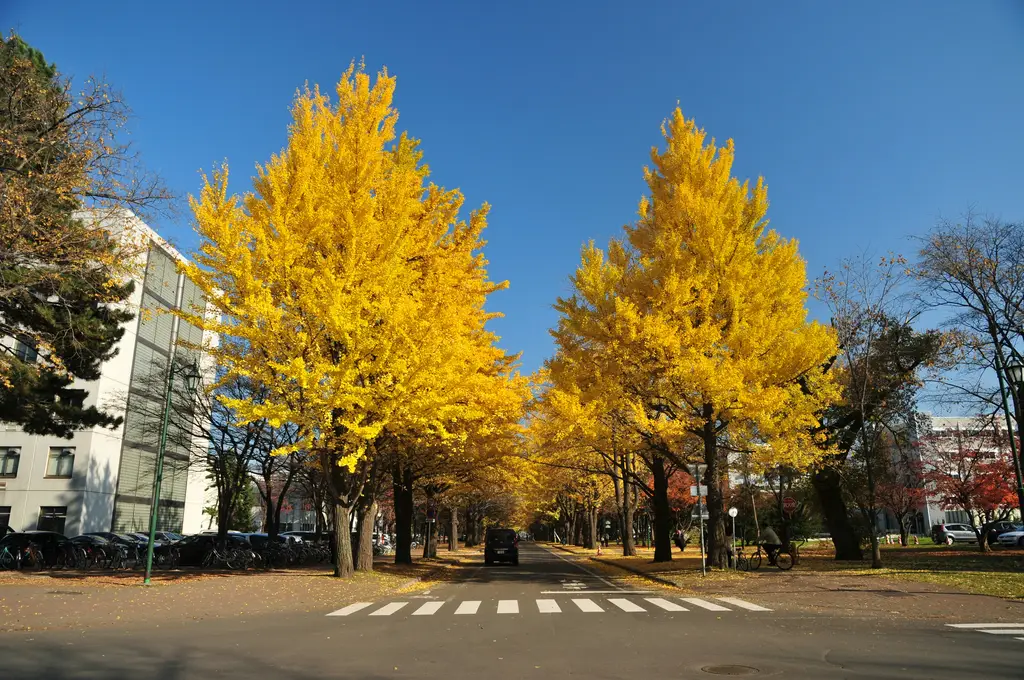 北九州必訪景點大公開！吃喝玩樂一次滿足